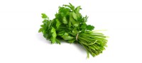 Salsa R$2,09 (Maço)